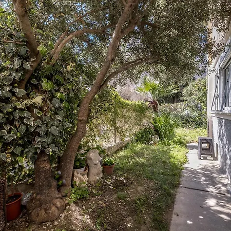 Olive Shade - Near The Apartmán Split