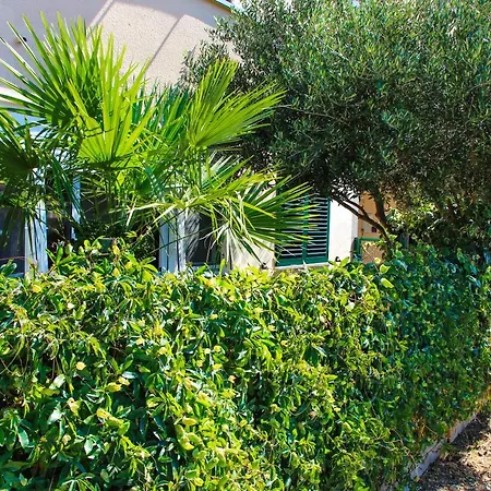 Apartman Olive Shade - Near The Split