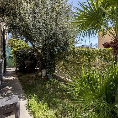 Olive Shade - Near The * Split