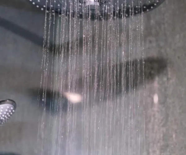 Olive Shade - Near The Apartamento *