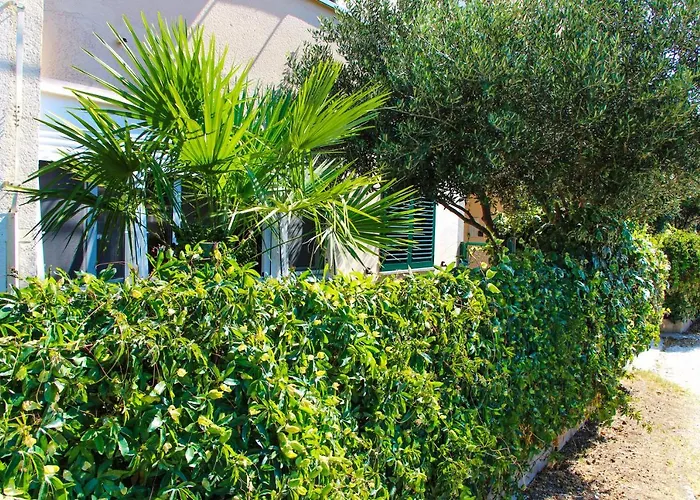 Apartamento Olive Shade - Near The Split