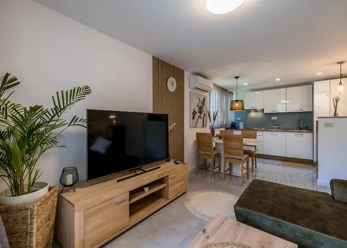 Olive Shade - Near The Apartamento