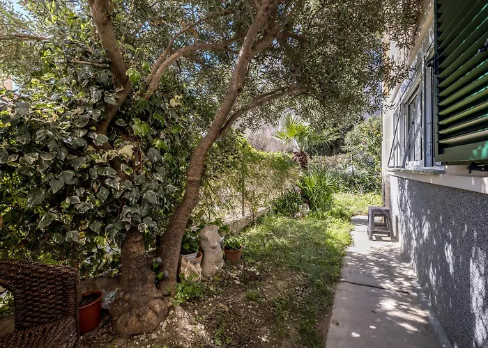 Olive Shade - Near The Apartamento Split